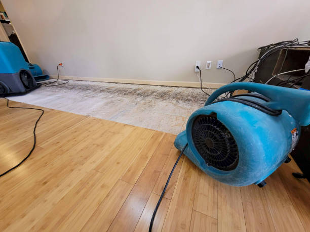 Professional Basement Flood Cleanup technician working in Surveyor, WV